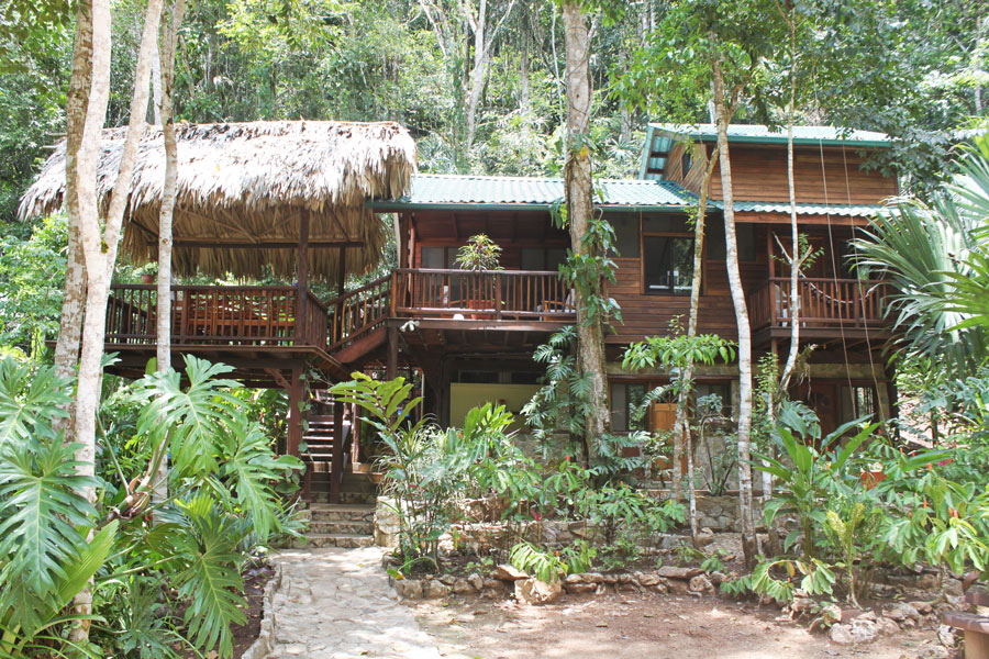 Better In Belize Rainforest Home