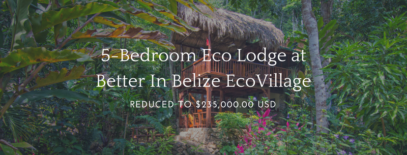 Eco Lodge for Sale in Belize 