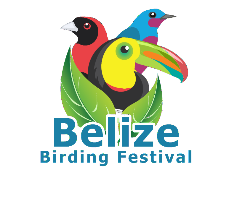 Belize Birding Festival