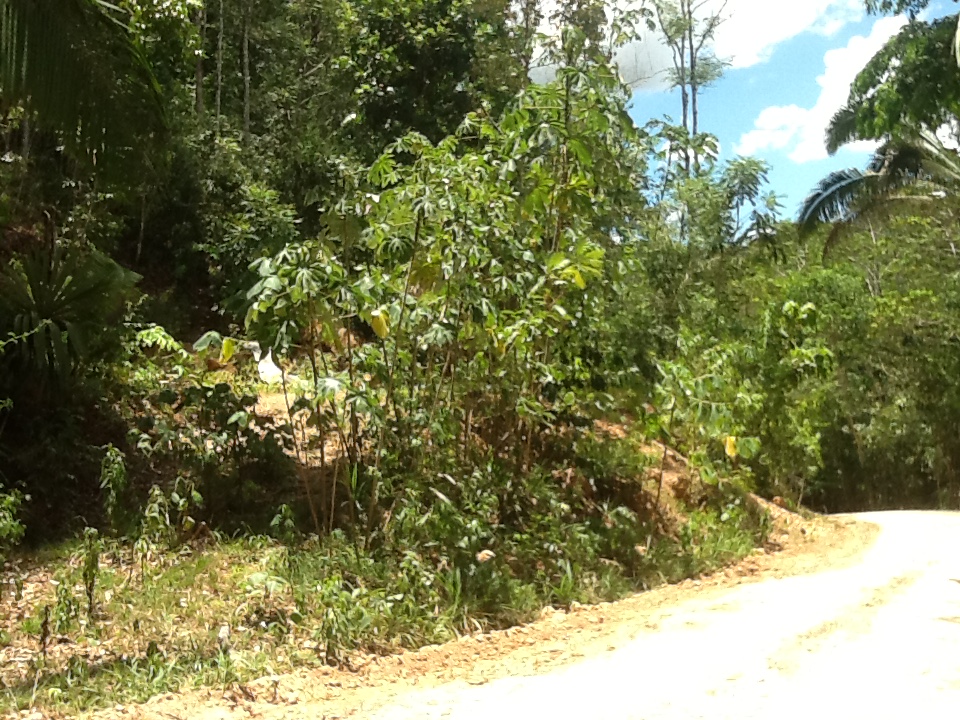 Better In Belize Lot For Sale