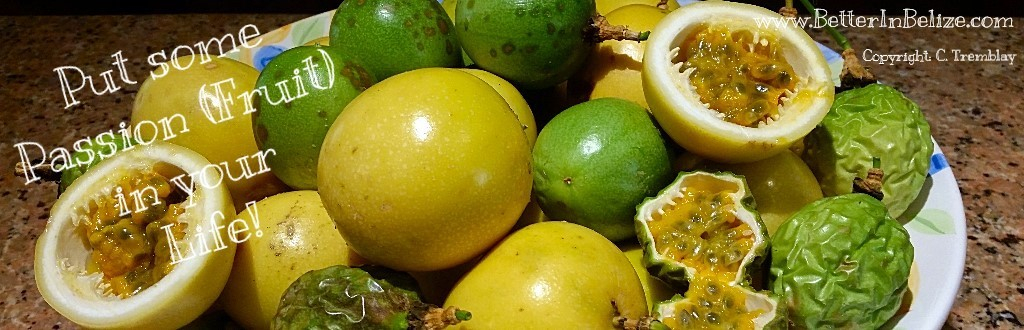 Passion Fruit in Belize