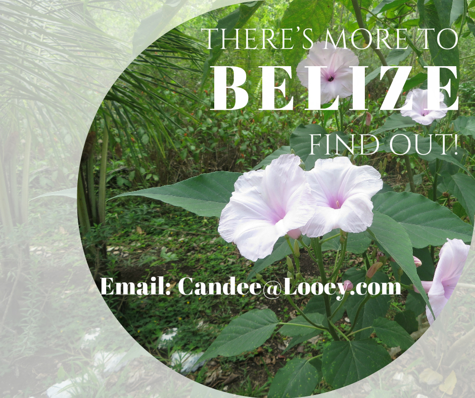 Find out more about Belize