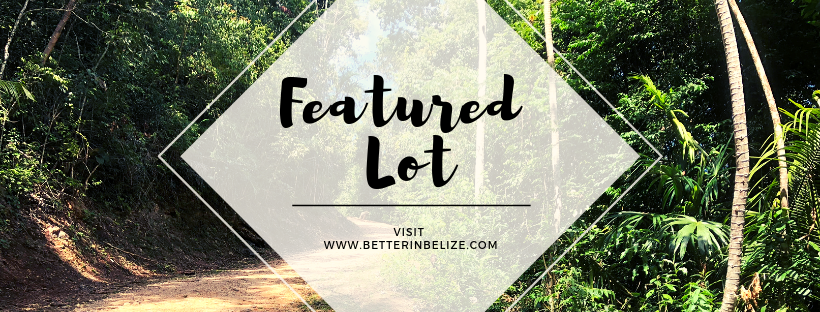 Better in Belize Lot for Sale