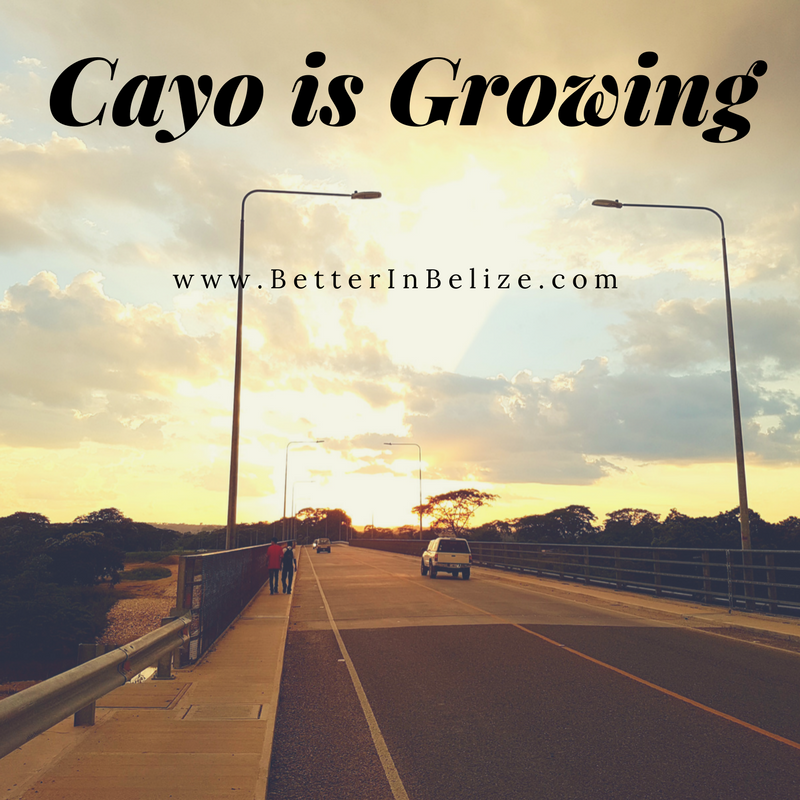 Cayo is Growing