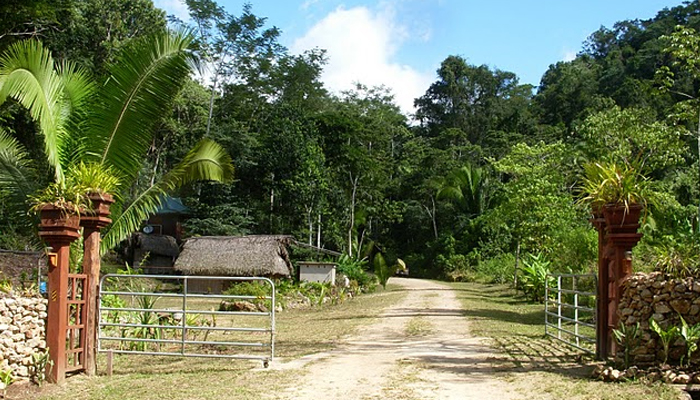 rainforest property in belize