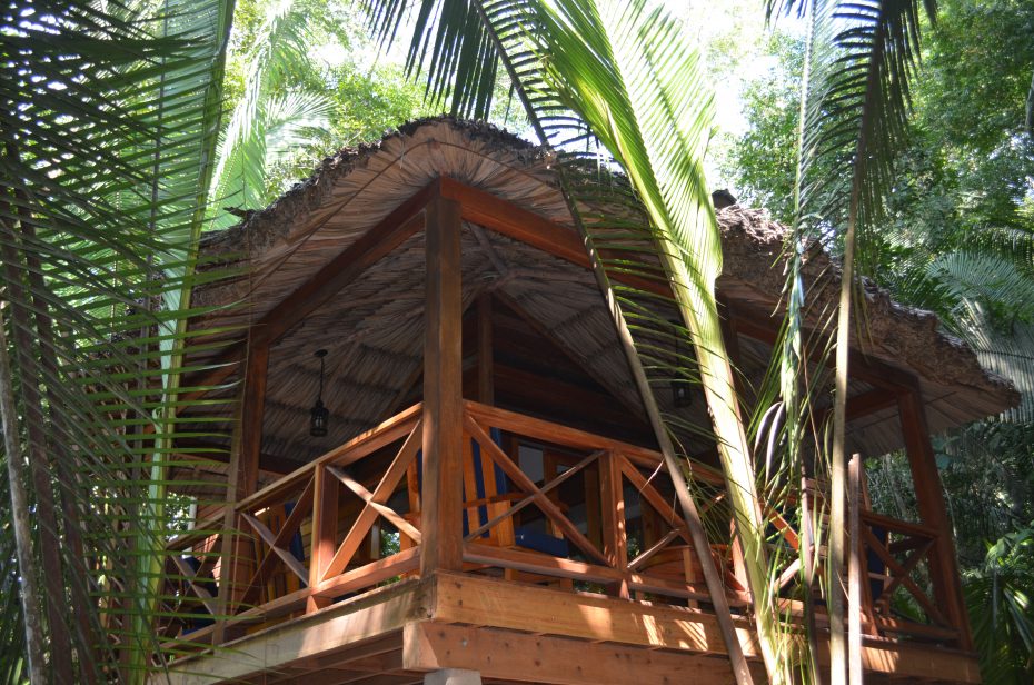 rainforest real estate