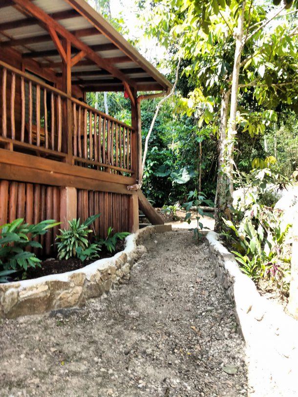 rainforest real estate 