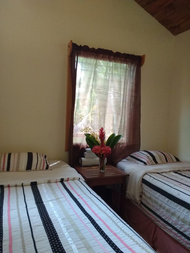 cayo belize real estate