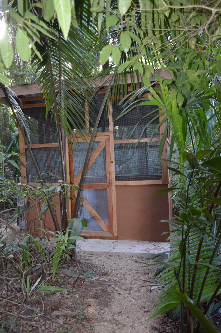 belize real estate for sale