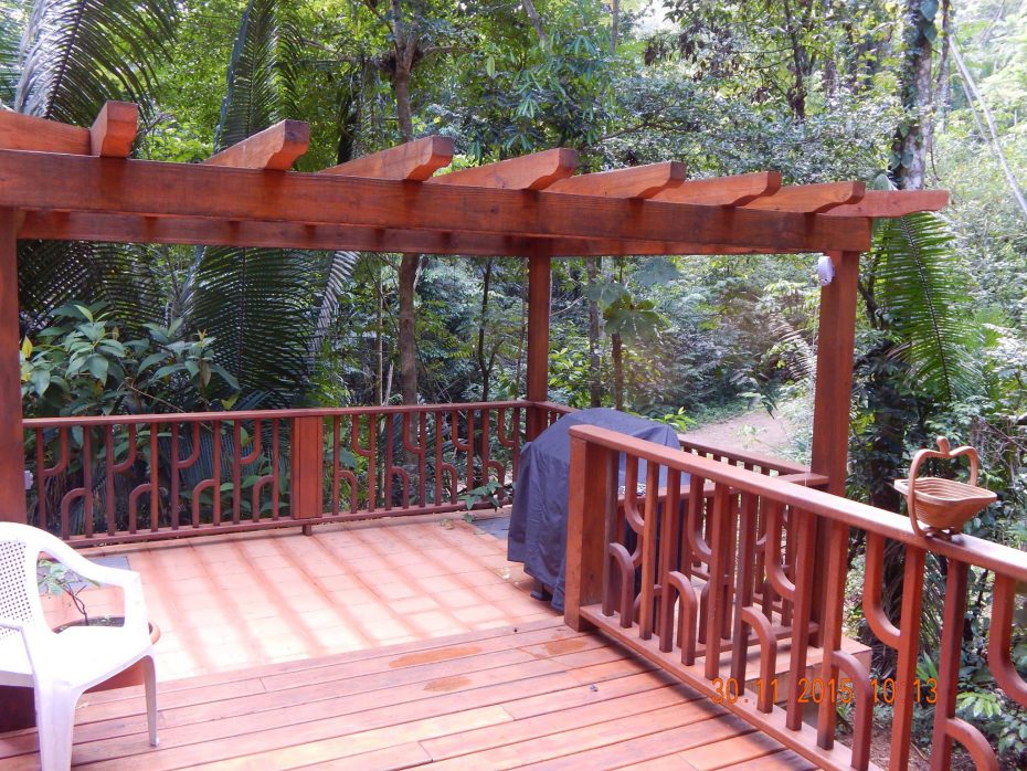 rainforest property in belize