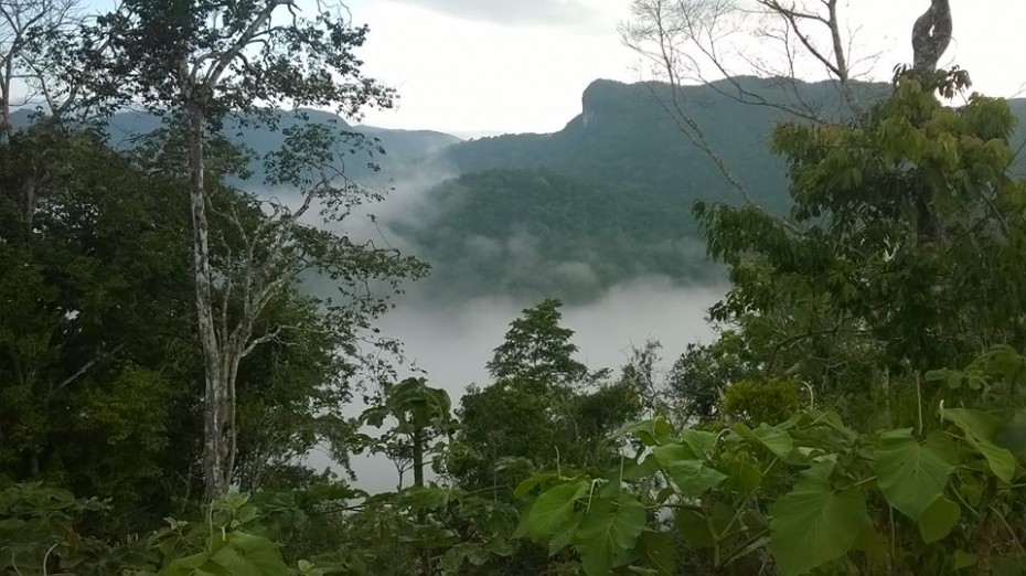 rainforest property in belize