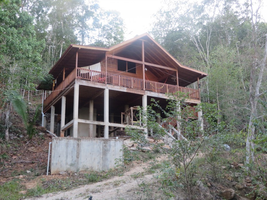 belize rainforest land for sale