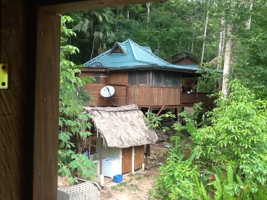 belize rainforest houses for sale