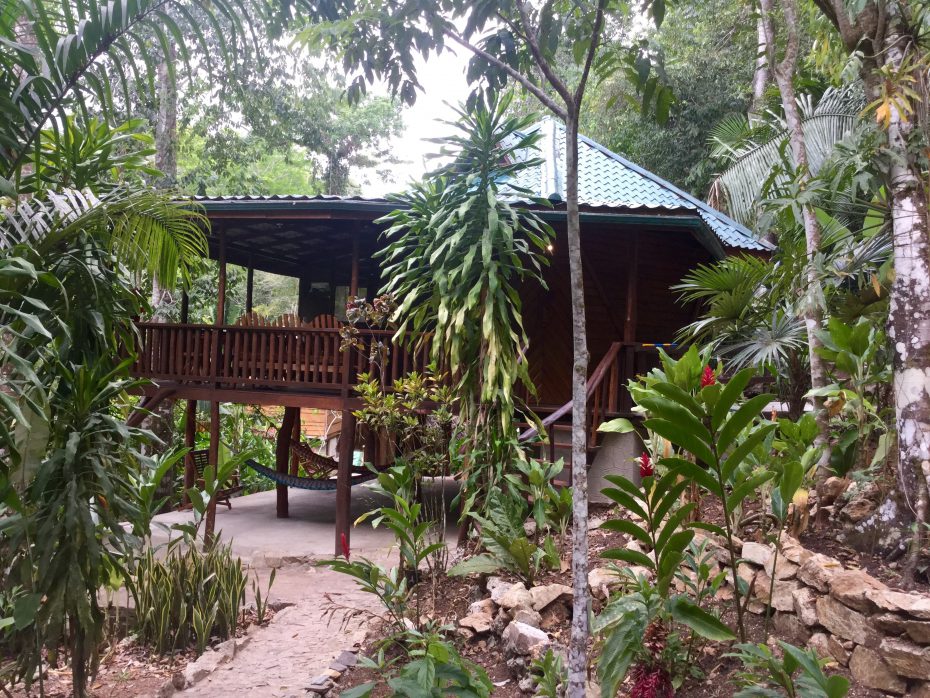off grid property for sale