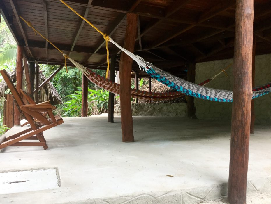 rainforest property in belize