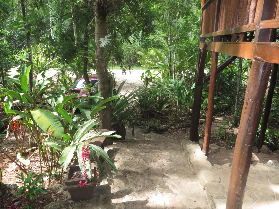 rainforest homes in belize