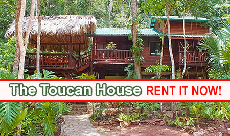 The Toucan House: Belize property for rent