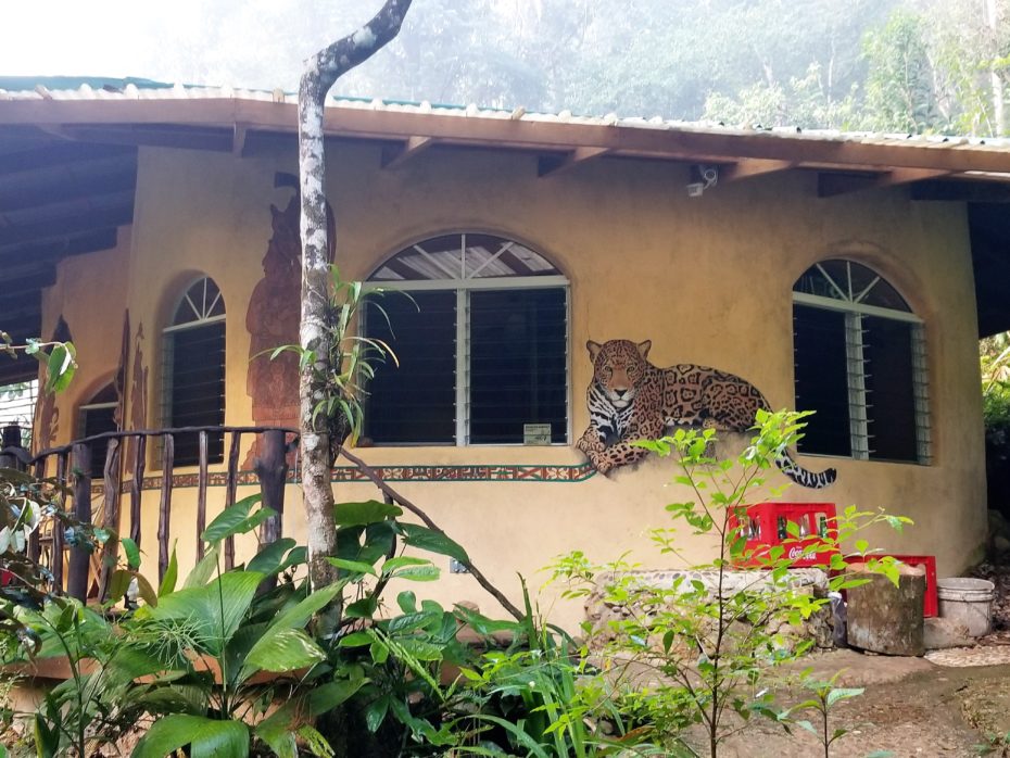 Belize Earthbag Home