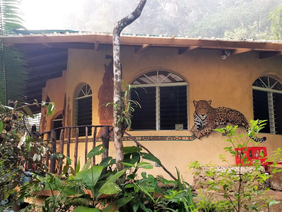 Belize Real Estate