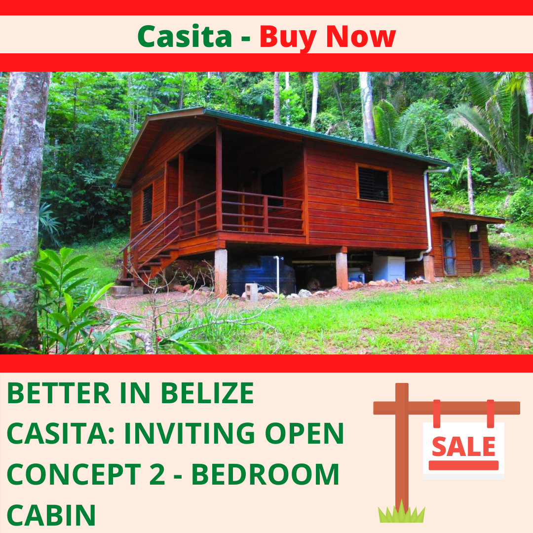 Casita: 2-bedroom open concept cabin