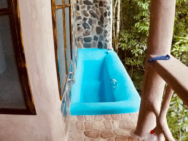 Home with Pool in Belize