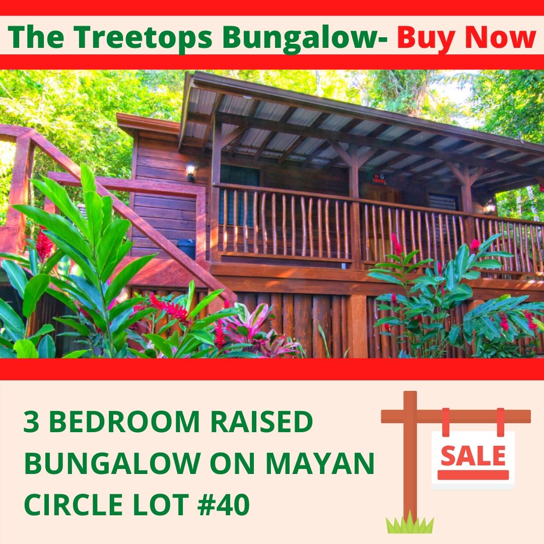 Tree Tops Bungalow: Buy it now!