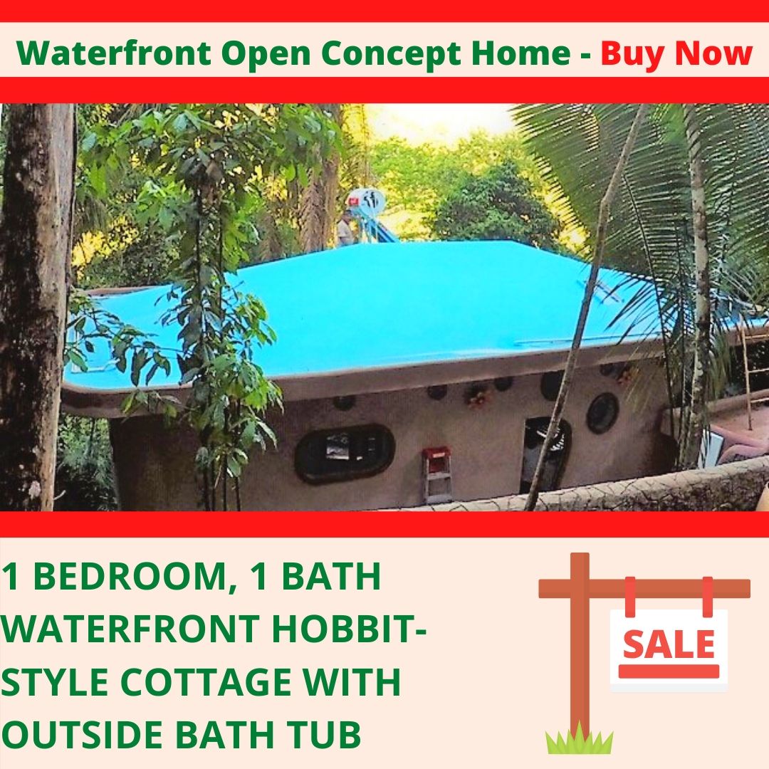 Tree Toucan House: Buy it now!