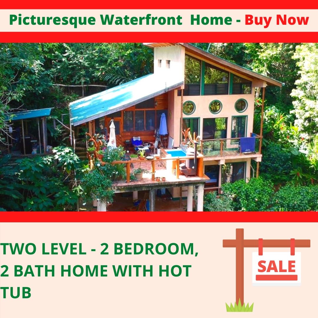 Tree Toucan House: Buy it now!