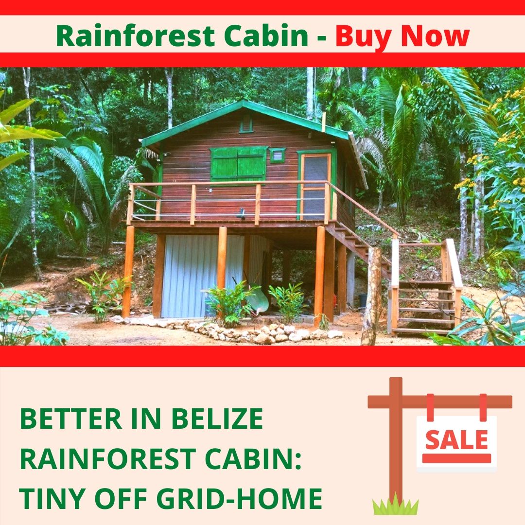 Rainforest Cabin
